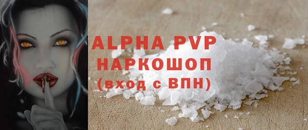 стаф Бородино