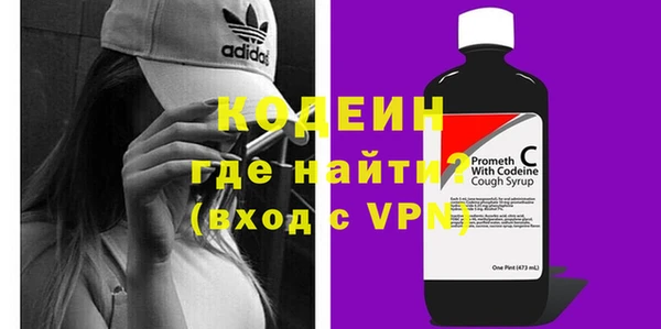 шишки Мегион